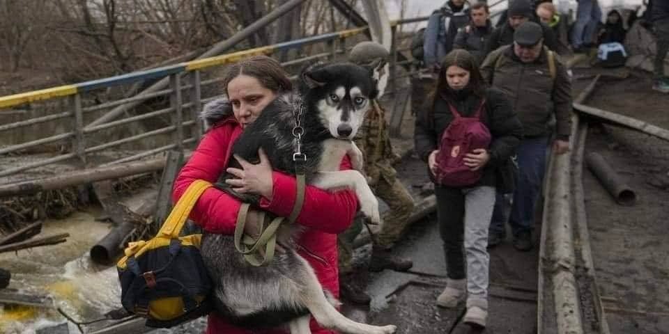 A woman evacuates her dog in Irpin, a town in Kyiv Oblast, some 26 kilometers north of Kyiv (Photo: Tsaplienko / telegram)