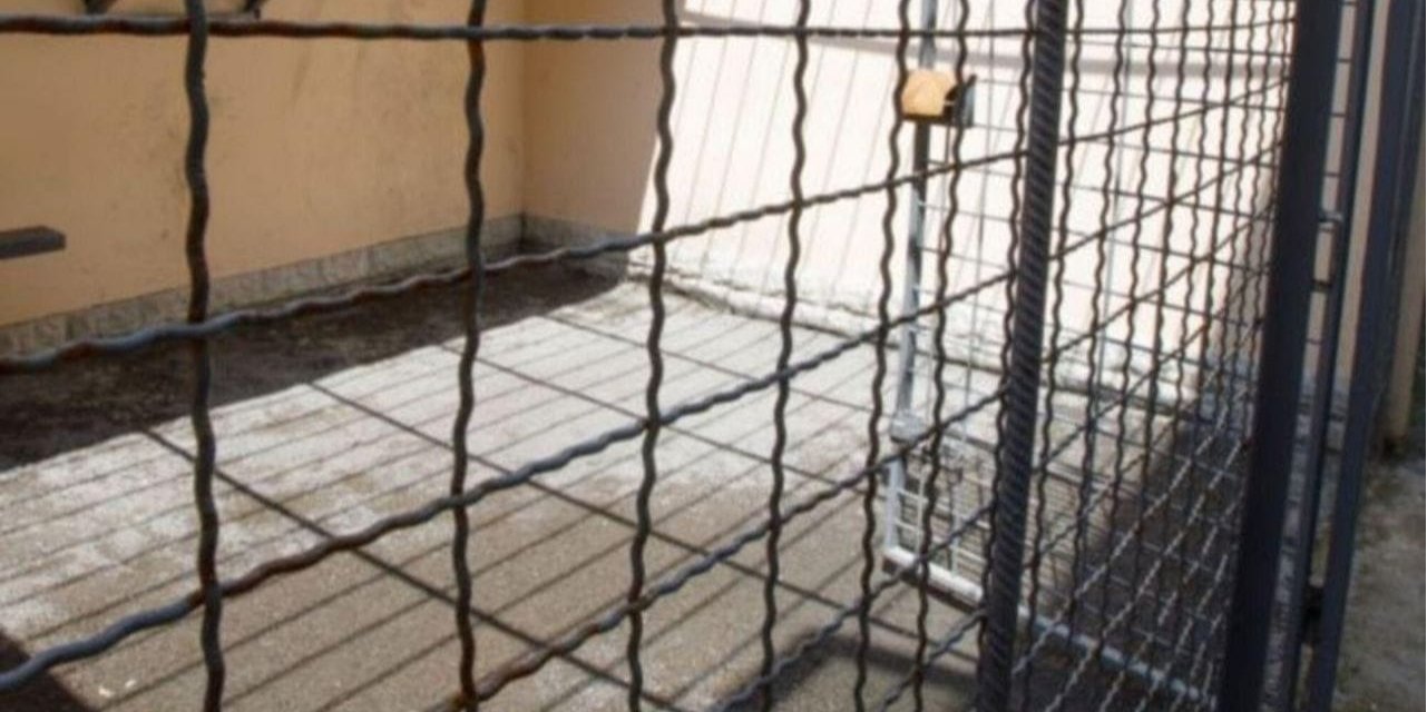Russians torture Ukrainian prisoners of war (Photo: Lyudmila Denisova/ Telegram)