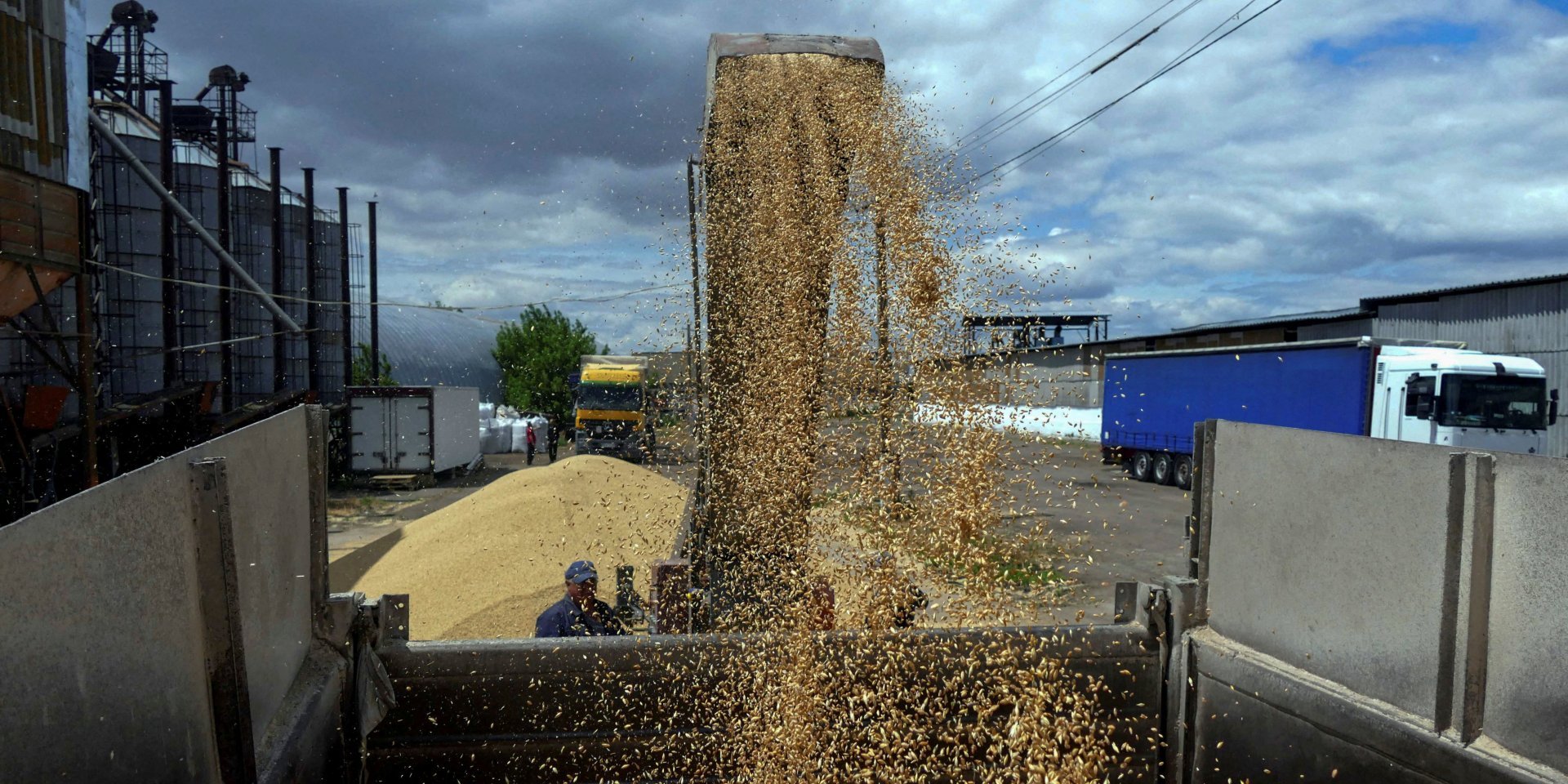 Ukrainian grain (Photo: REUTERS/Igor Tkachenko/File Photo)