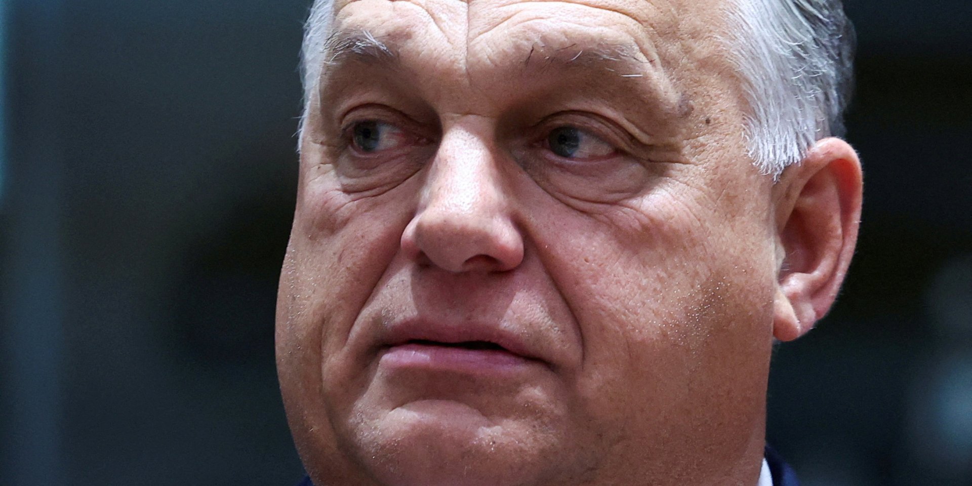 Viktor Orban (Photo: REUTERS/Yves Herman)