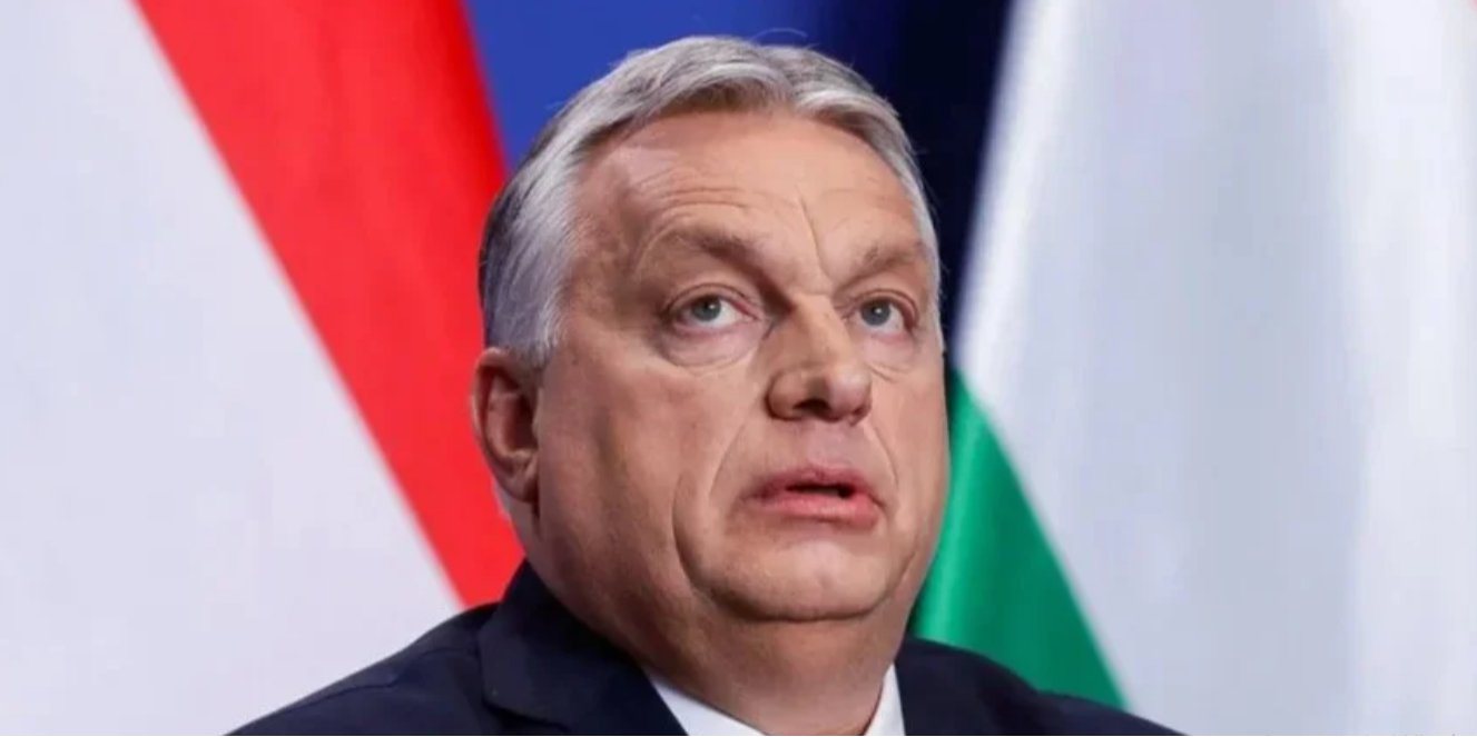 Viktor Orban (Photo: REUTERS/Bernadett Szabo)