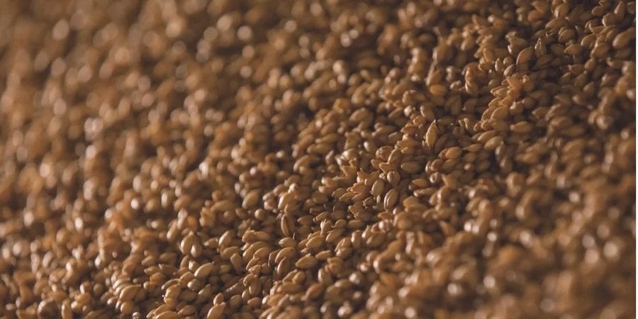 Grain imports (Photo: Pexels / 42 North)