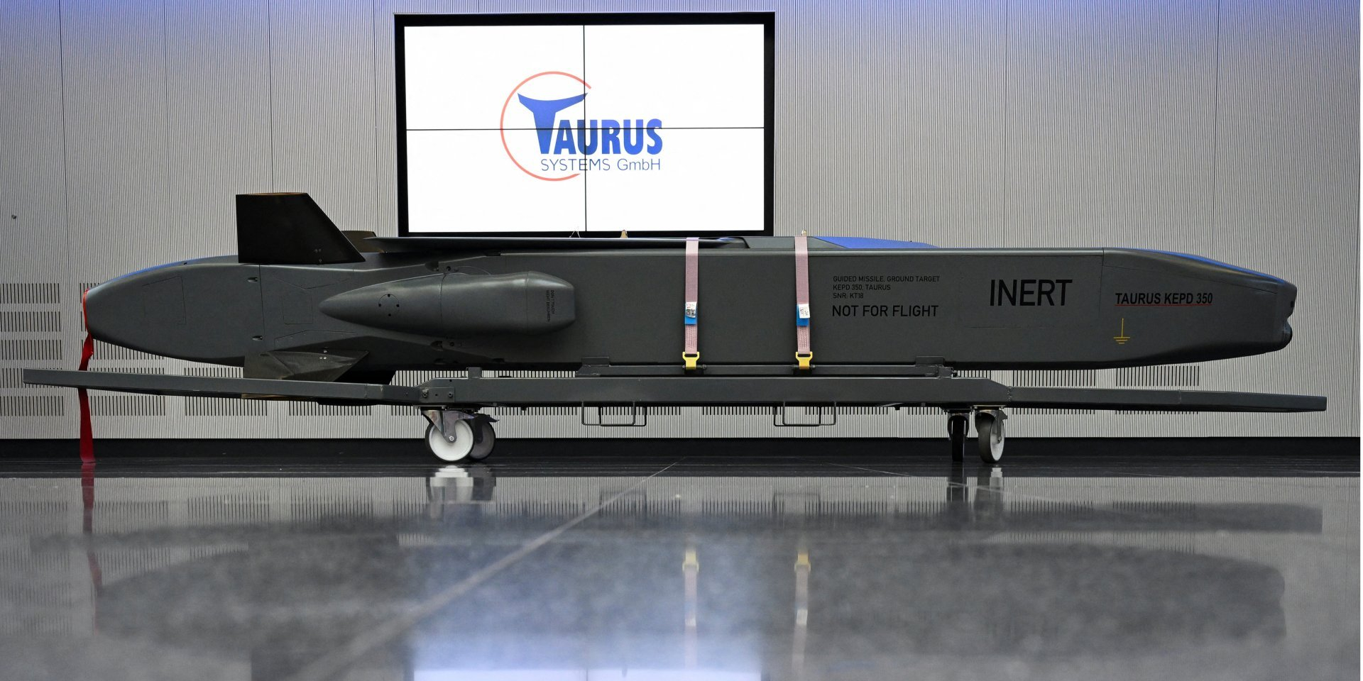 Taurus missile (Photo: REUTERS/Angelika Warmuth)