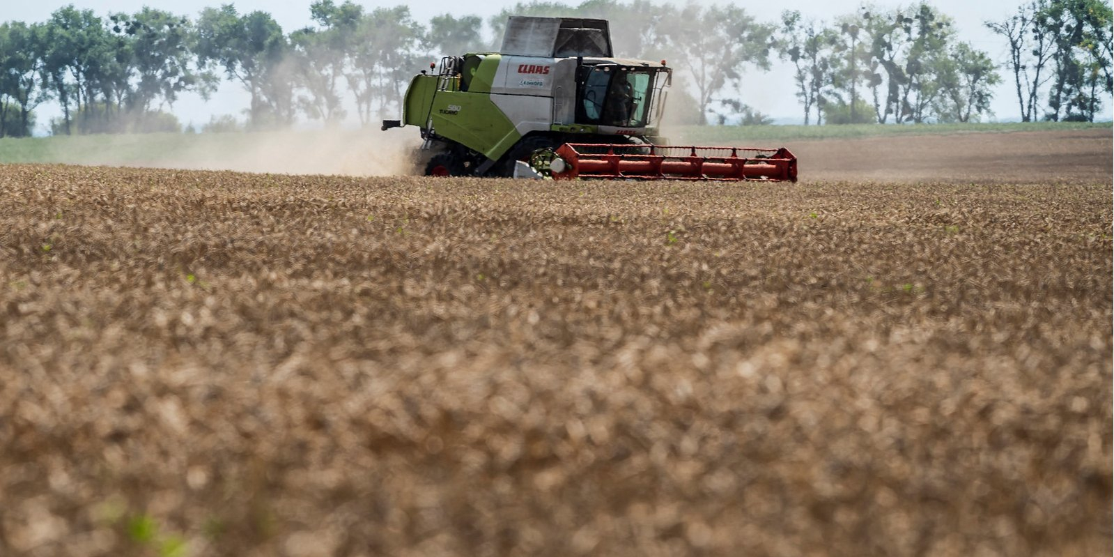 Ukraine has lost one-fifth of its farmland since the start of the full-scale war (Photo: REUTERS/Viacheslav Ratynskyi)