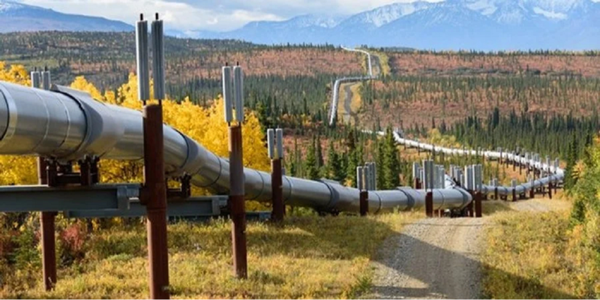 Russia has ramped up gas deliveries to Türkiye (Photo: theins.ru)