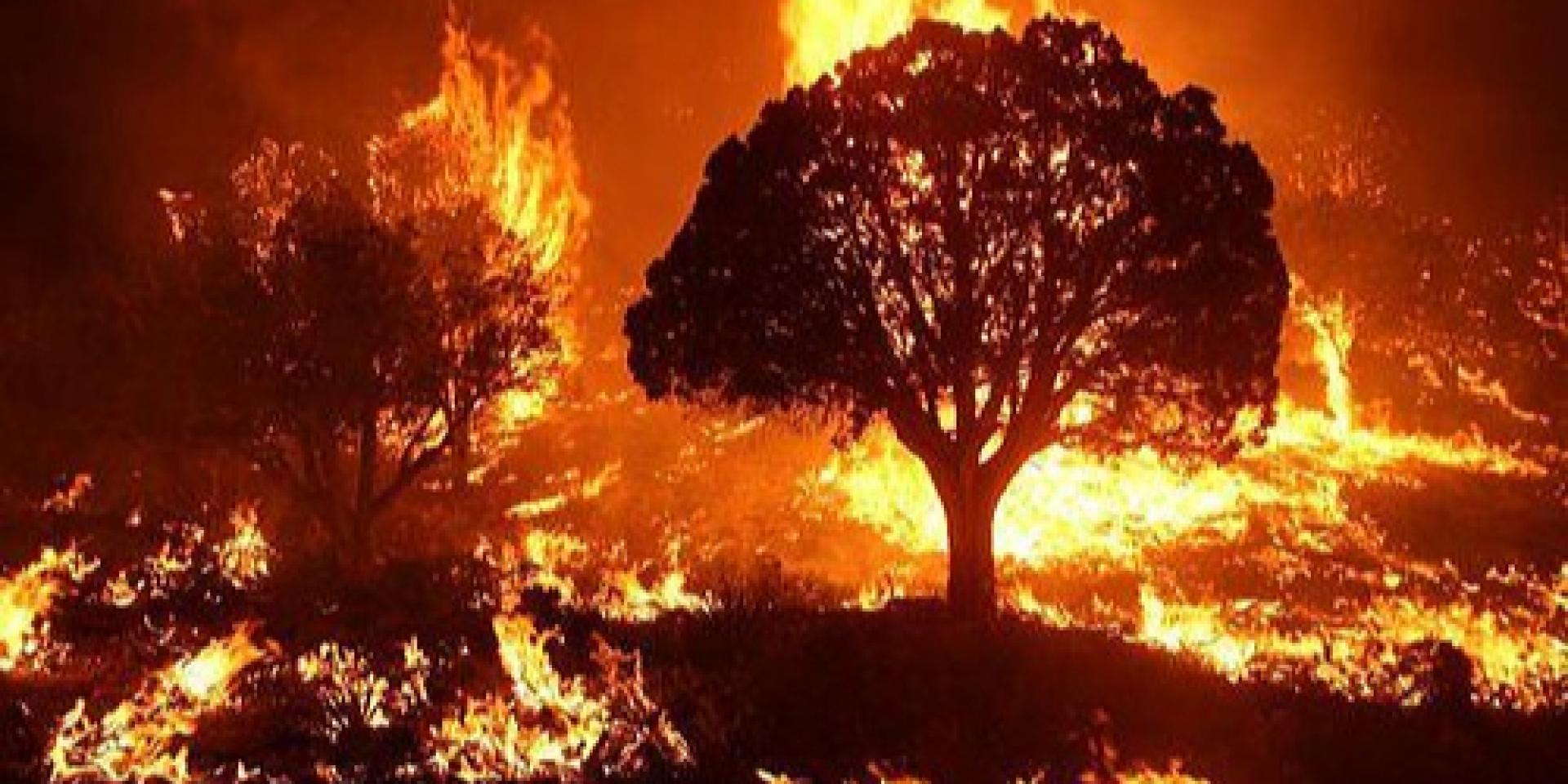 Wildfire (illustrative photo) (Photo: Mike McMillan / Wikipedia)