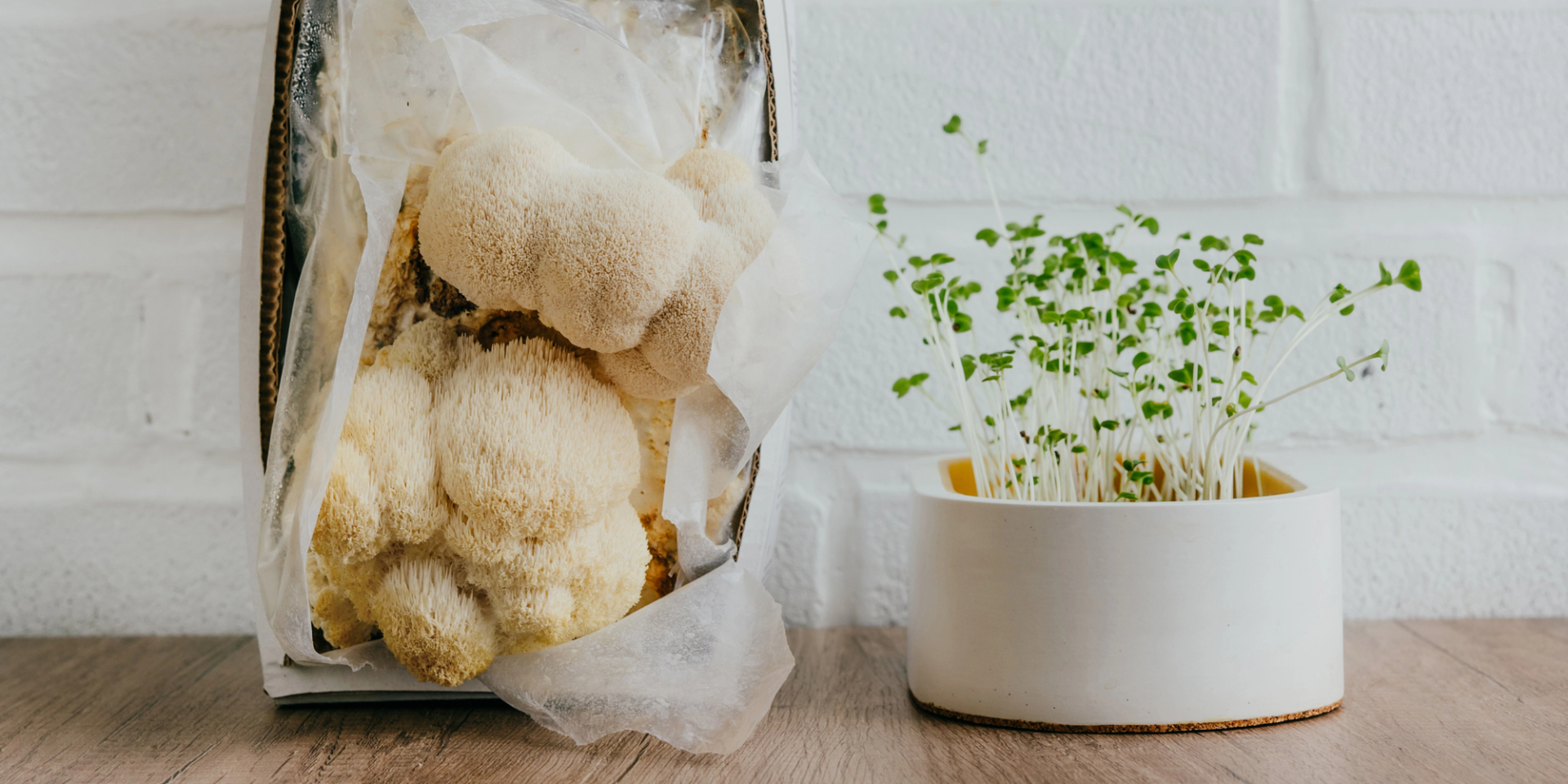 Білкові гриби hericium erinaceusта мікрозелень (Фото: depositphotos.com/lithiumphoto)