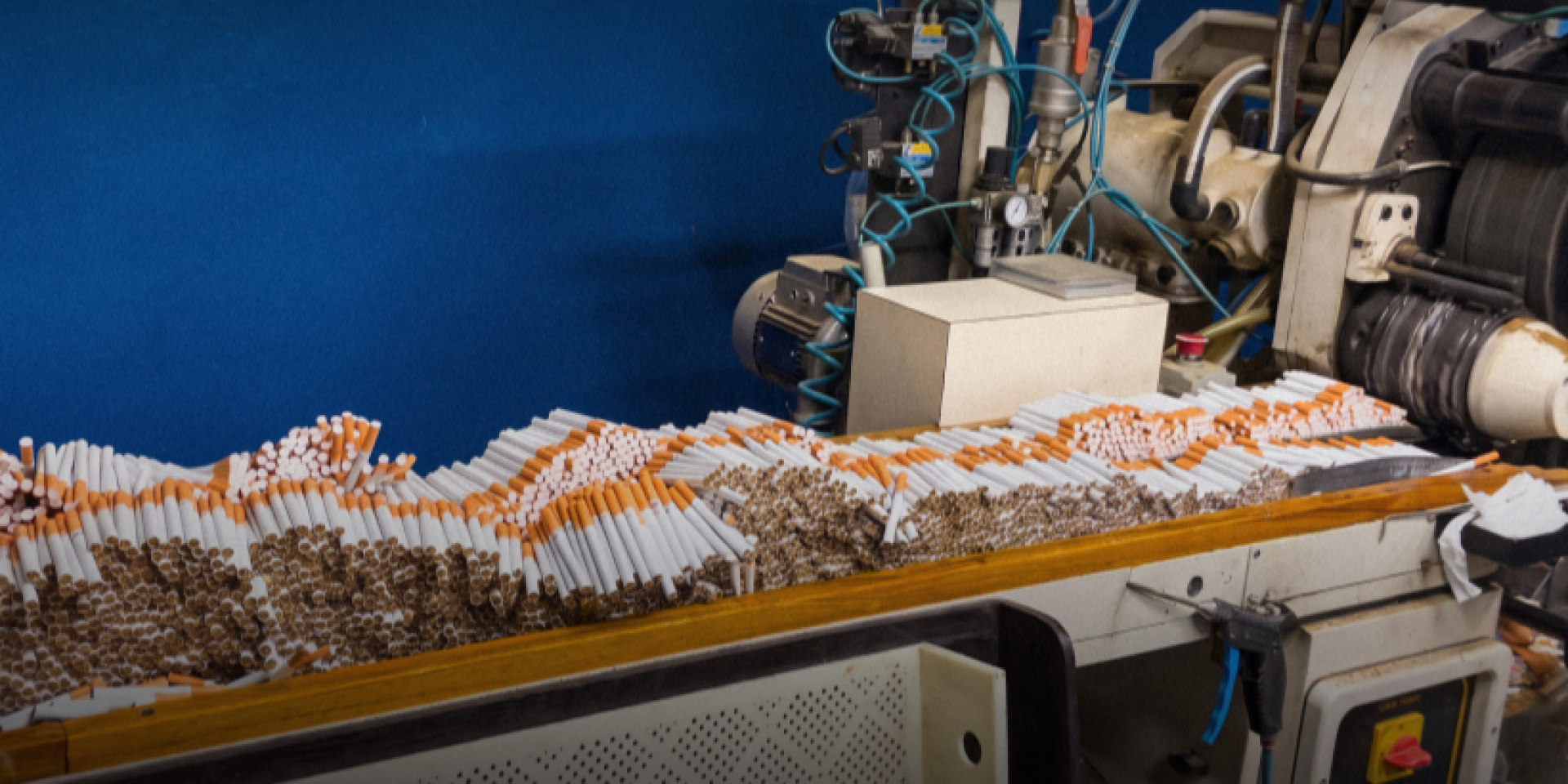 Cigarette production at an underground tobacco factory (Photo: ESBU)