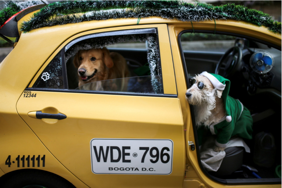 REUTERS/Luisa Gonzalez