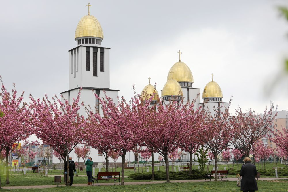 Квітучий Львів (Фото: Львівська міська рада)