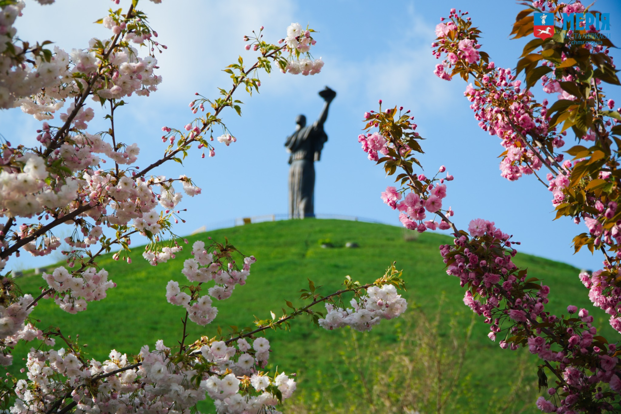Сакури в Черкасах (Фото: Черкаська міська рада)